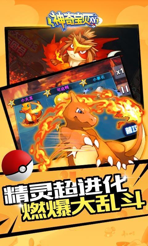 盐和避难所